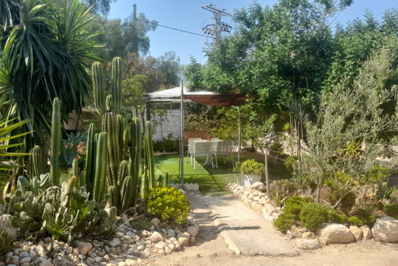 Revente - Country House - Crevillente