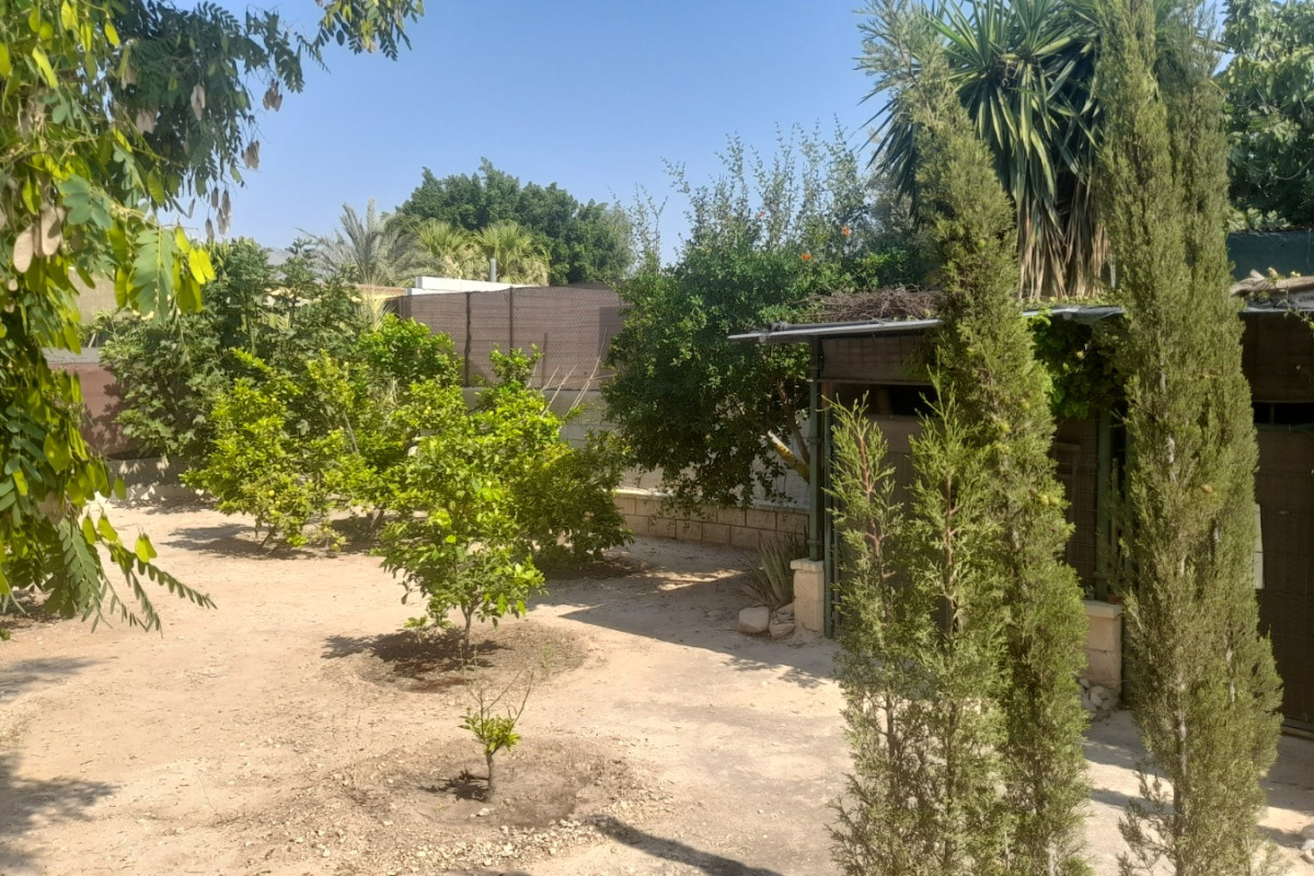 Revente - Country House - Crevillente