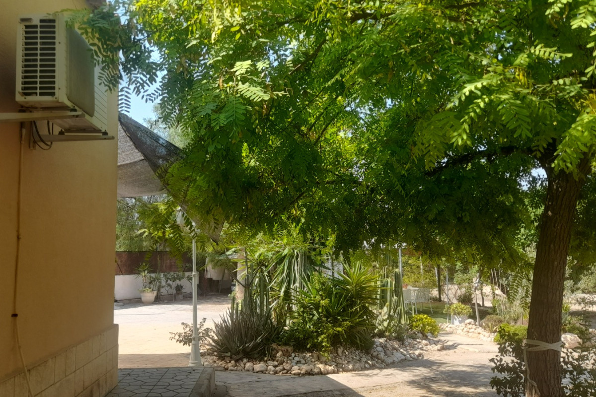 Revente - Country House - Crevillente