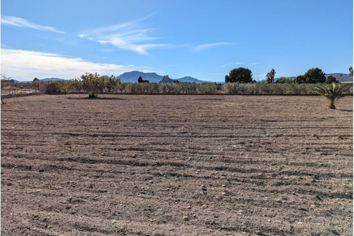 Revente - Country House - SAX