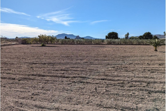 Revente - Country House - SAX