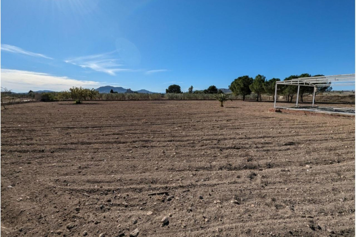 Revente - Country House - SAX