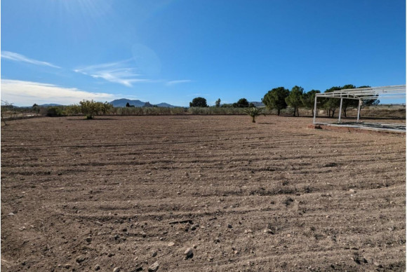 Revente - Country House - SAX