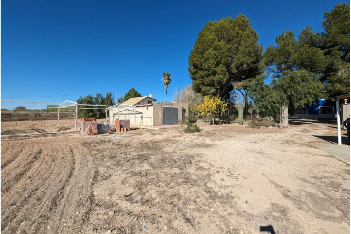 Revente - Country House - SAX