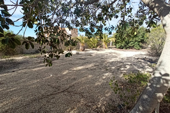 Herverkoop - Landelijke woning - San Vicente del Raspeig