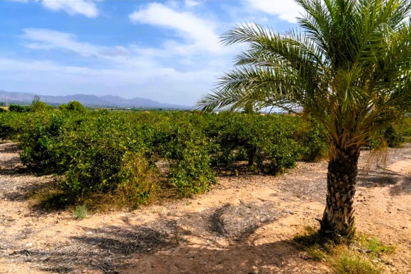 Resale - Country House - LA MATANZA