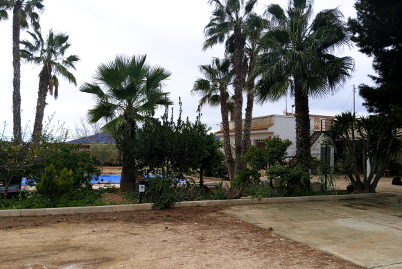 Revente - Country House - La Murada - LA MURADA