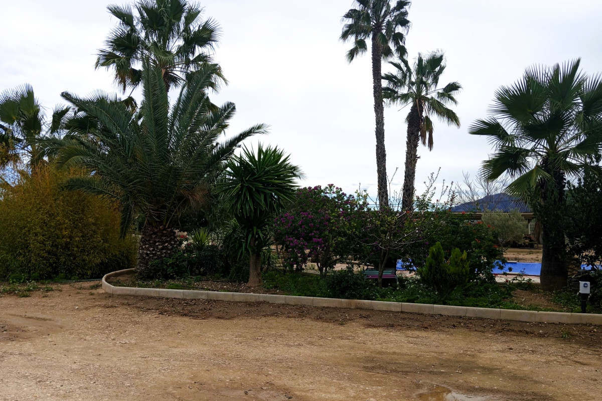 Revente - Country House - La Murada - LA MURADA