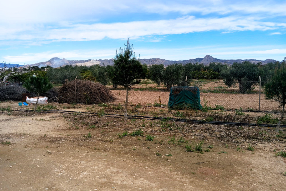 Revente - Country House - La Murada - LA MURADA