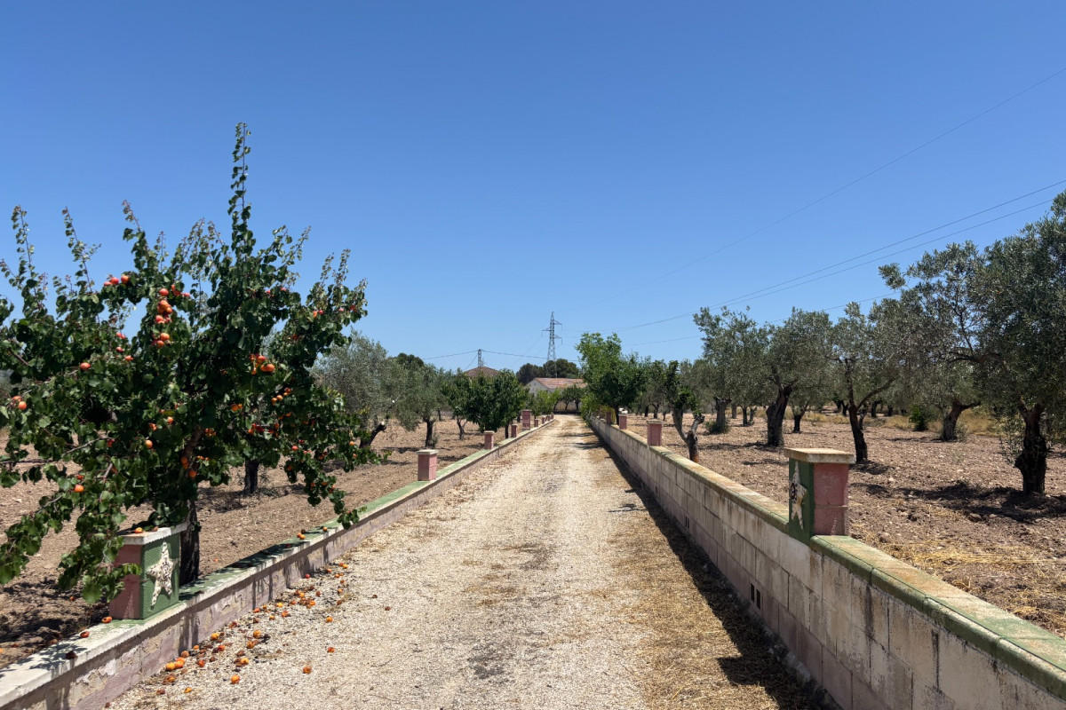 Resale - Country House - Castalla