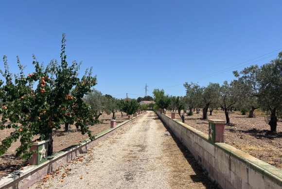 Resale - Country House - Castalla