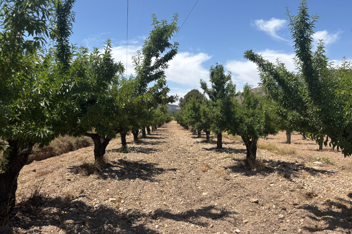 Resale - Country House - Castalla