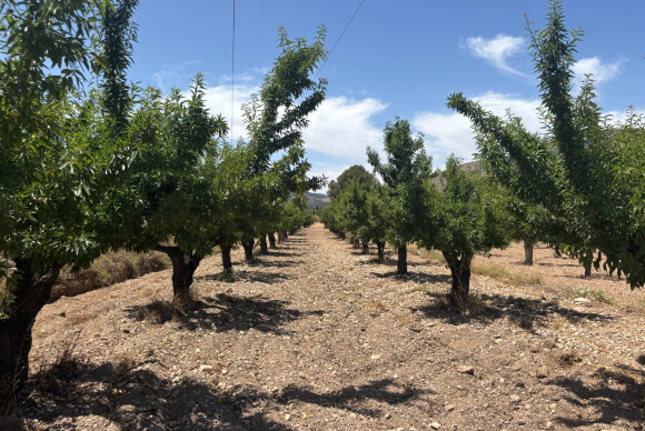 Resale - Country House - Castalla