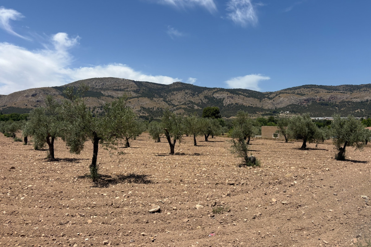 Resale - Country House - Castalla