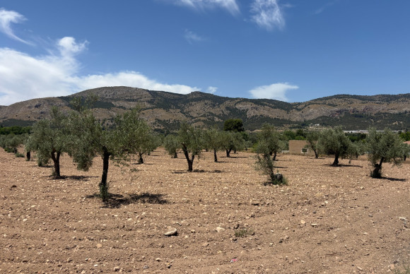 Resale - Country House - Castalla