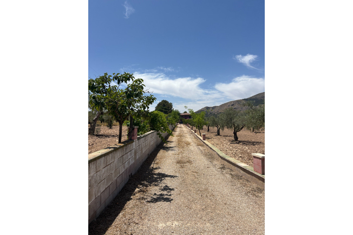 Resale - Country House - Castalla