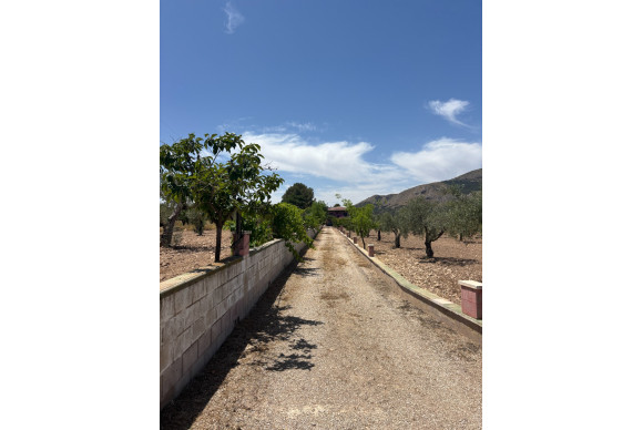 Resale - Country House - Castalla