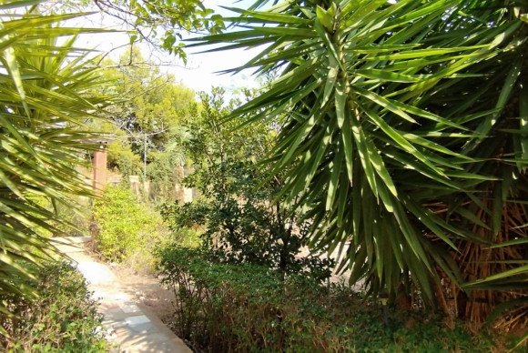 Herverkoop - Landelijke woning - Crevillente