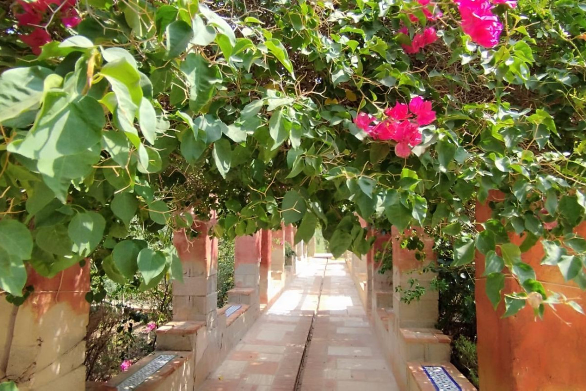 Herverkoop - Landelijke woning - Crevillente