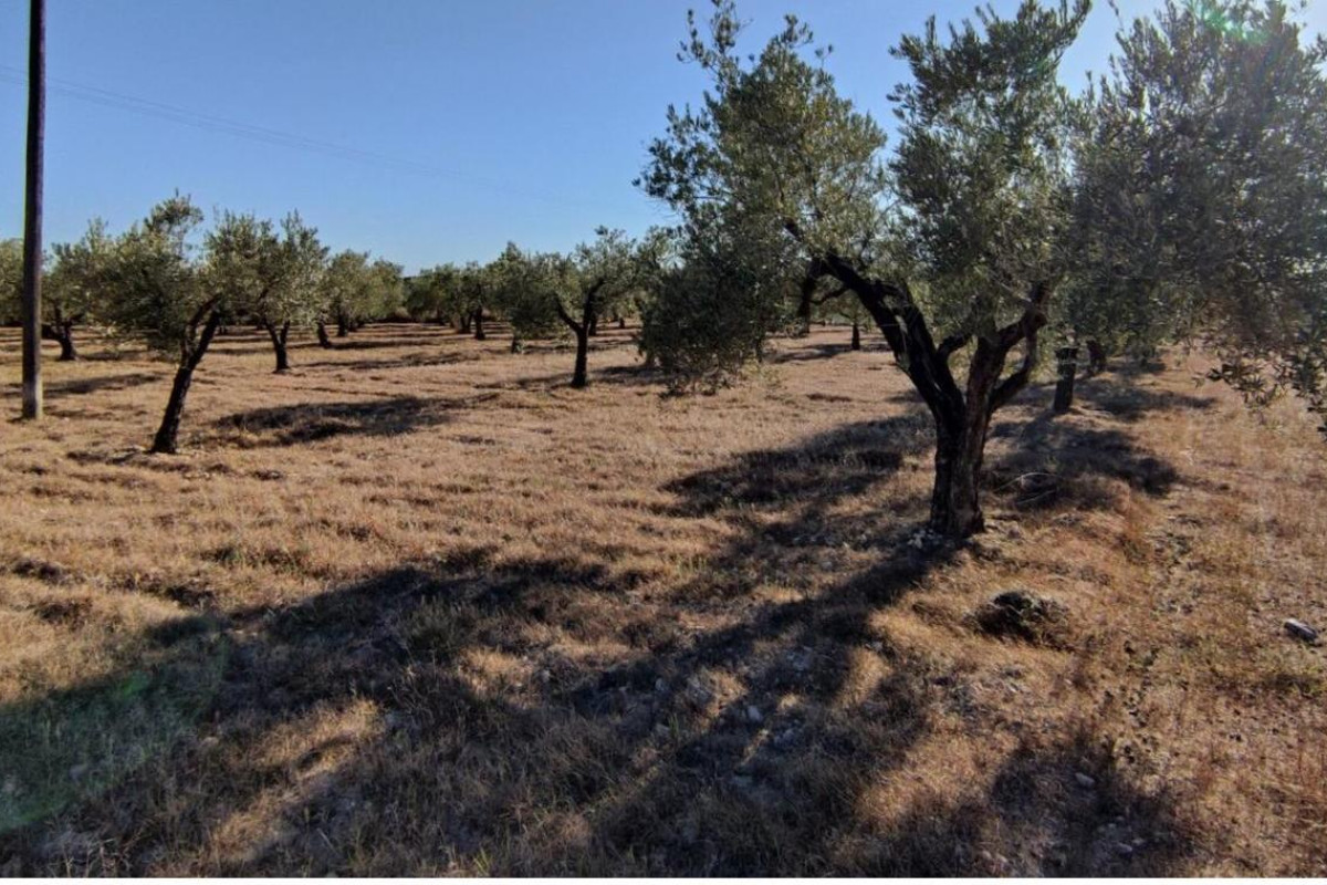 Reventa - Country House - SAX