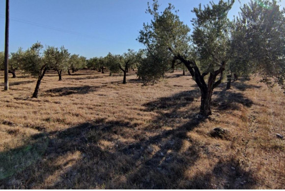 Reventa - Country House - SAX