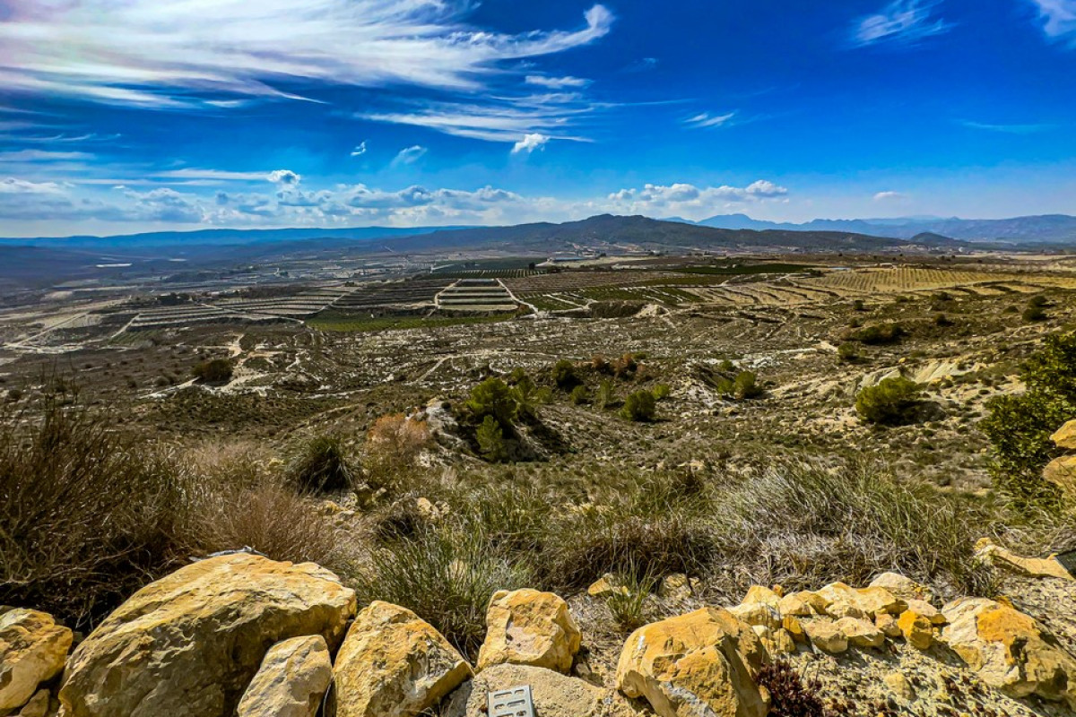 Revente - Country House - Torremendo