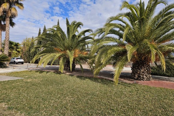 Resale - Country House - Novelda