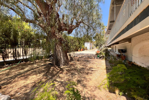 Herverkoop - Landelijke woning - Elche