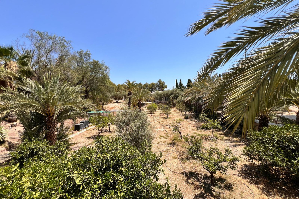 Herverkoop - Landelijke woning - Elche