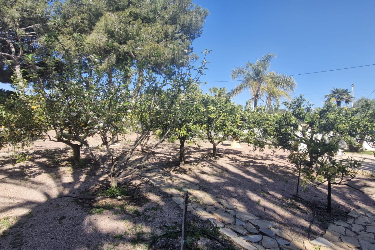 Resale - Country House - Elche