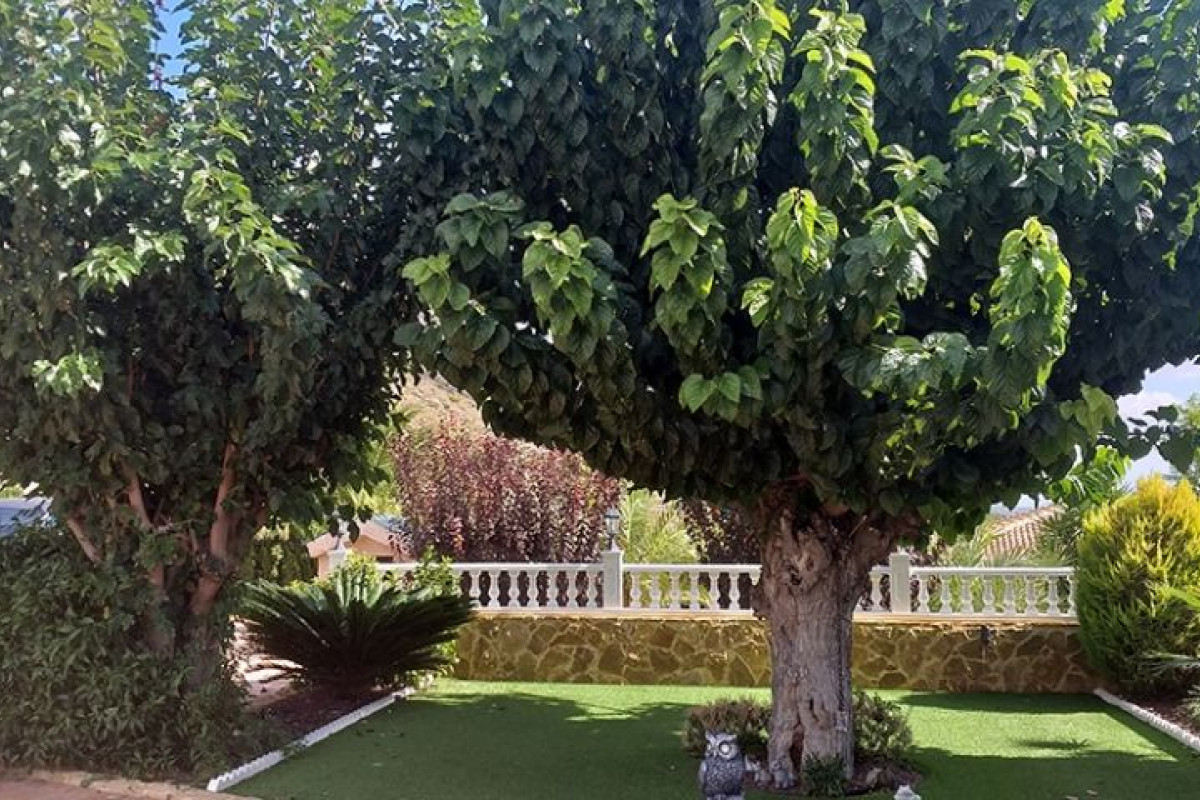 Reventa - Villa - Hondón de las Nieves