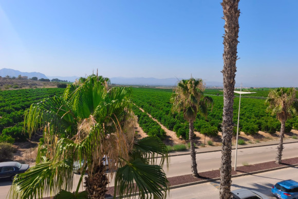 Reventa - Casa semi independiente - Algorfa