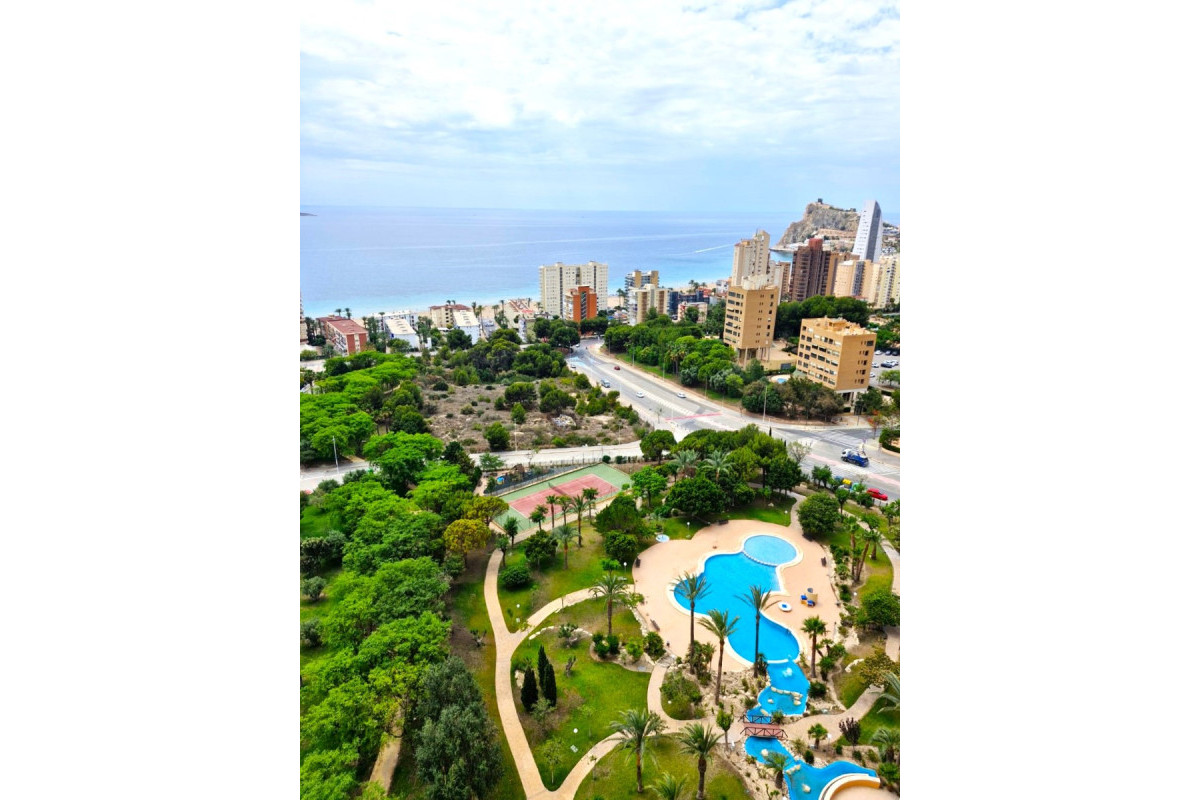 Herverkoop - Apartment / flat - Benidorm - Levante