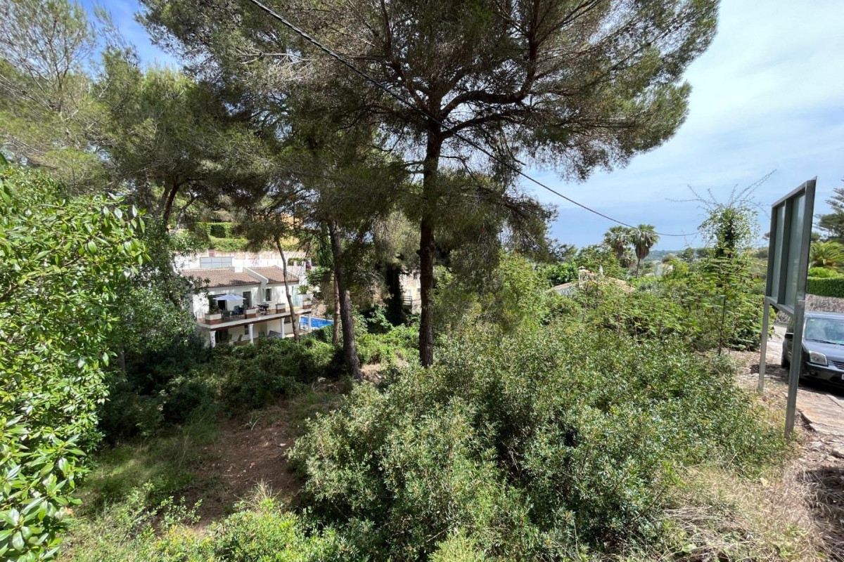 Reventa - Parcela - Jávea - Xàbia - Costa Nova Panorama