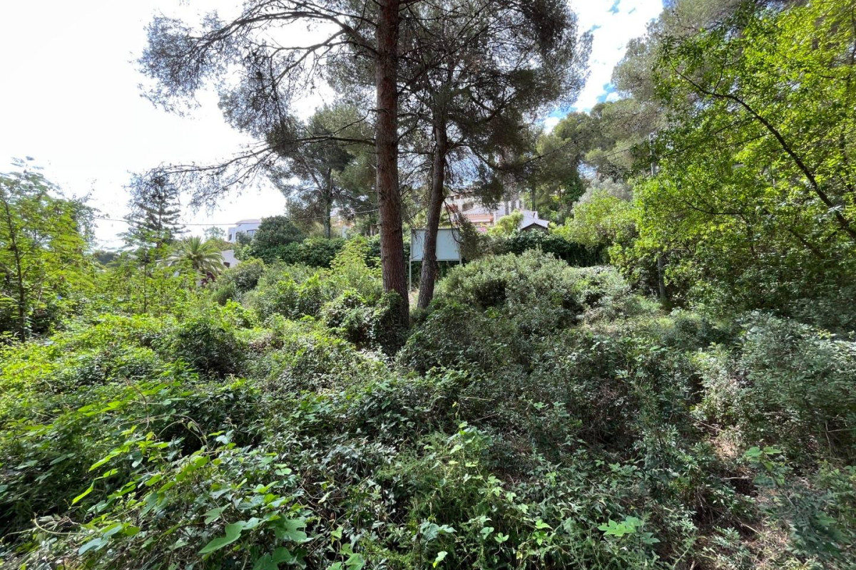 Revente - Parcela - Jávea - Xàbia - Costa Nova Panorama