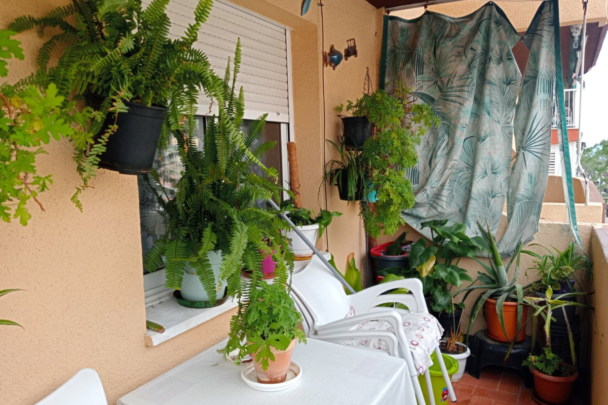 Herverkoop - Apartment / flat - Benidorm - Levante