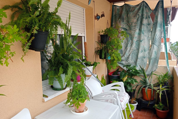 Herverkoop - Apartment / flat - Benidorm - Levante