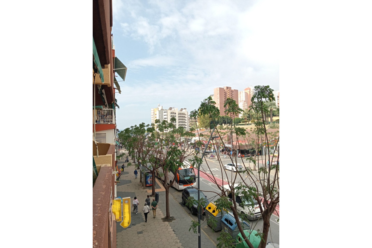 Herverkoop - Apartment / flat - Benidorm - Levante