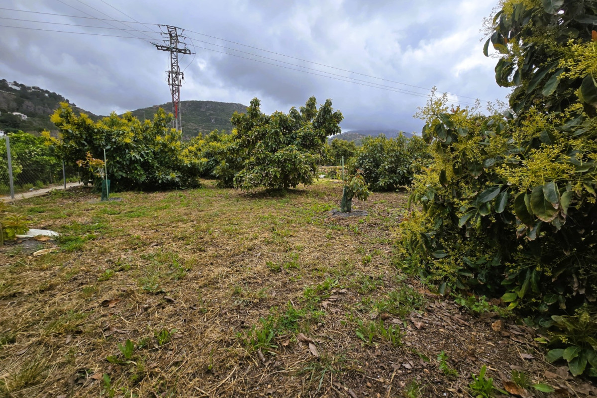 Resale - rustic plot - Pego