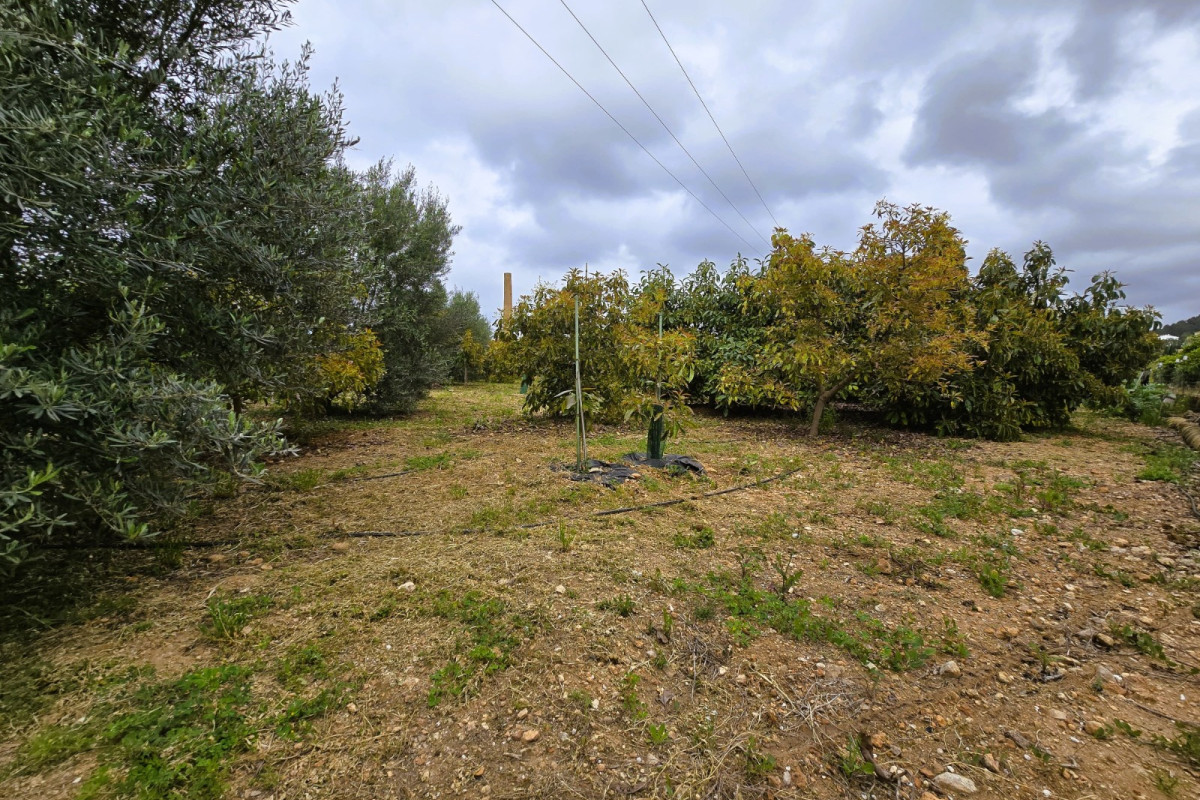 Resale - rustic plot - Pego