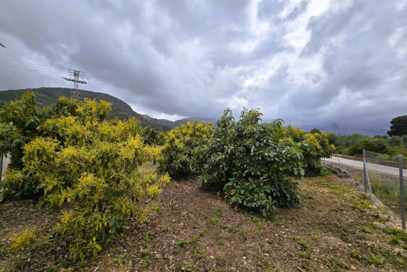 Resale - rustic plot - Pego