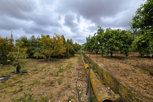 Resale - rustic plot - Pego