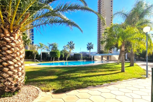 Herverkoop - Apartment / flat - Benidorm - Levante