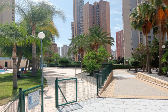 Herverkoop - Apartment / flat - Benidorm - Levante