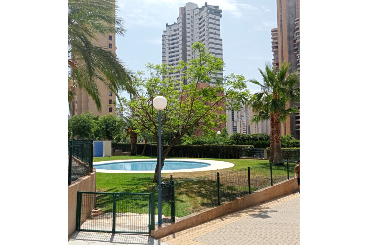 Herverkoop - Apartment / flat - Benidorm - Levante