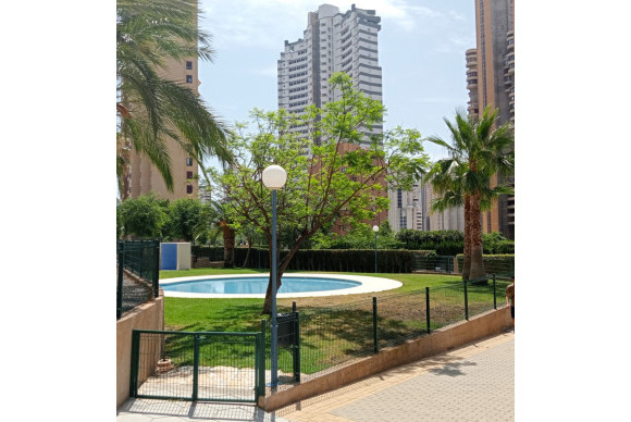 Herverkoop - Apartment / flat - Benidorm - Levante