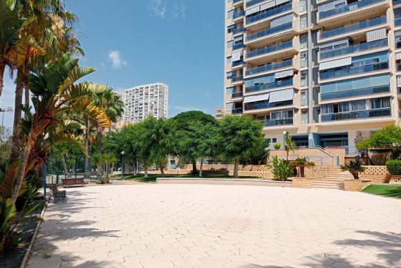 Herverkoop - Apartment / flat - Benidorm - Levante