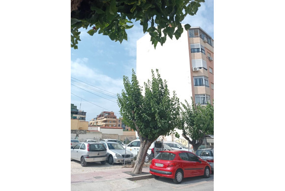 Herverkoop - urban plot - Benidorm - Centro