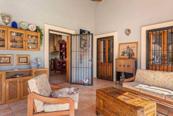 Revente - Finca / Country Property - Catral