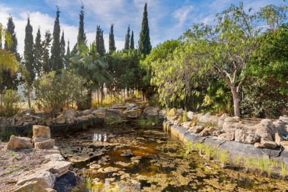 Revente - Finca / Country Property - Catral